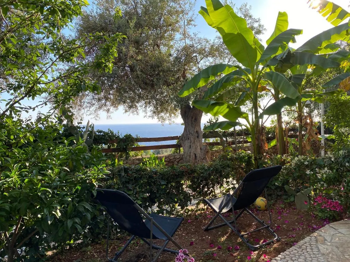 Olives Terrace B2A5 Apartment Dhermi