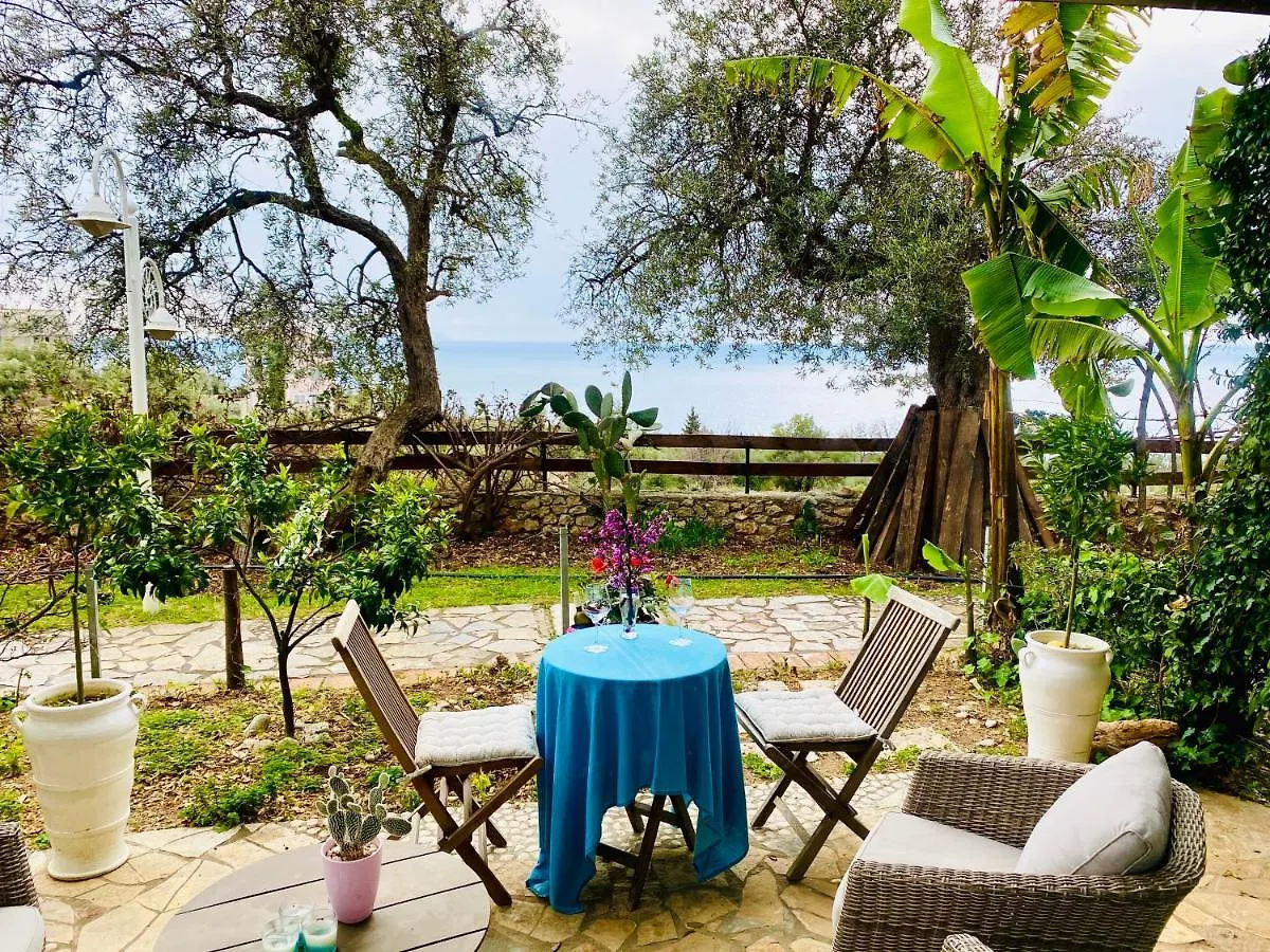 Olives Terrace B2A5 Apartment Dhermi